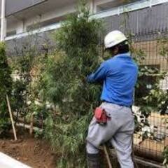 【11,000円　現金日払い可能】屋上緑化・植栽・土工事　作業雨...
