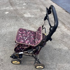 シルバーかーの画像