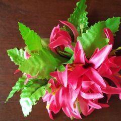白い花冠、白い腕輪、赤い花飾りの画像