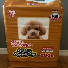 ペットシーツ　レギュラー　 260枚　アイリスオーヤマ　ペット用品