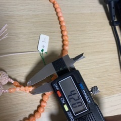 深海珊瑚の画像