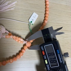 深海珊瑚の画像
