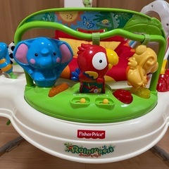 Fisher Price（フィッシャープライス)  レインフォレスト・ジャンパルー  
の画像