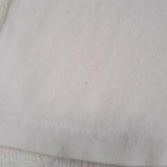 ディズニー、ミニオンTシャツの画像