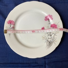 チャーハン皿　ステーキ用洋食皿　8枚の画像