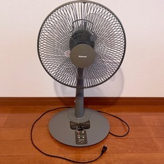 Electric Fan with Remote