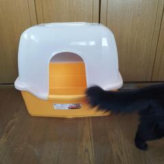 猫トイレ 大型 蓋付き オレンジ 大きめねこトイレ
