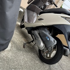 Dio Cesta
の画像