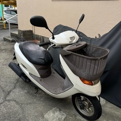 Dio Cesta
の画像