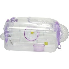 ハム小屋 紫の画像