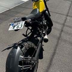 TW200ロンスイ スカチューンの画像