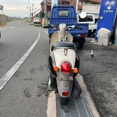 可愛いバイク‼️ ホンダ　スクーピー　外装新品交換済み　大阪発の画像