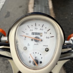 可愛いバイク‼️ ホンダ　スクーピー　外装新品交換済み　大阪発の画像
