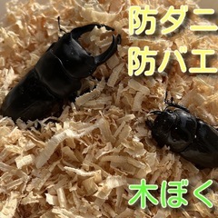 宮大工のおがくず　ひのき100% 200gの画像