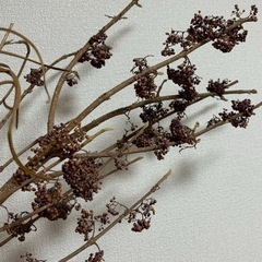 ムラサキシキブ　ドライフラワー　枝もの