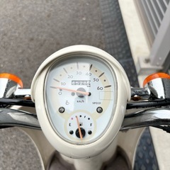2982.安心の水冷エンジン　スクーピー　シート新品　千葉県柏市　即日配送、自走引き取りも可能の画像