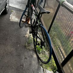 176cm用ロードバイクの画像