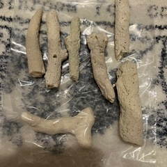 5本差しあげます、珊瑚礁の置物