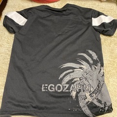 EGOZARU スポーツTシャツの画像