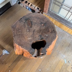 デッカい　木のオブジェ？　切り株の画像
