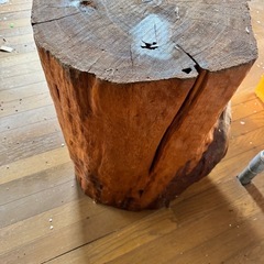 デッカい　木のオブジェ？　切り株の画像
