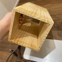 ハリネズミや小動物飼育セット　ヒーター　冷却プレートあり！の画像