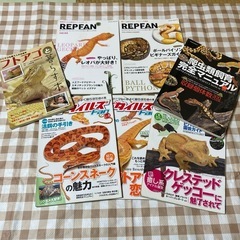 レプファン/レプタイルズ/爬虫類飼育完全マニュアル/フトアゴと暮らす本