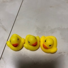 アヒル隊長　3匹