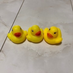 アヒル隊長　3匹の画像