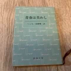 青春は美わし (新潮文庫) ヘルマン・ヘッセ
