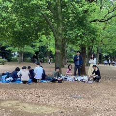 10月27日(日)一緒に代々木公園で遊ぼう！ - 友達