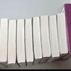 小説 薬屋のひとりごと 1~14巻 12巻特装版の画像
