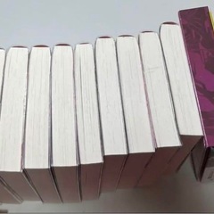 小説 薬屋のひとりごと 1~14巻 12巻特装版の画像