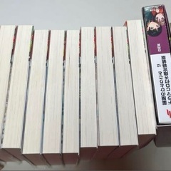 小説 薬屋のひとりごと 1~14巻 12巻特装版の画像