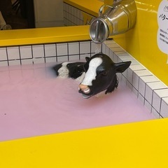 友達ほしーーー⭐︎