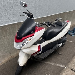 1800台超希少車限定車 PCX125 スペシャルエディションパールヒマラヤズホワイトの画像