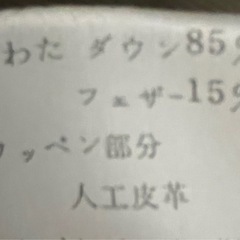 大幅値下げ！
Golden Bear ダウンの画像