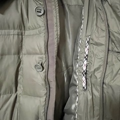 大幅値下げ！
Golden Bear ダウンの画像