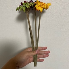 IKEA造花　7本セットの画像