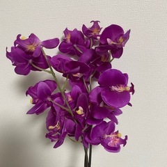 IKEA造花　7本セットの画像