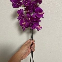 IKEA造花　7本セットの画像