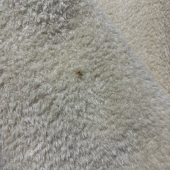 O Ｐのジャンパーの画像