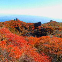 くじゅう 登山仲間募集！！