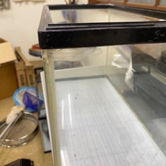 60cm水槽 熱帯魚 補修跡ありの画像