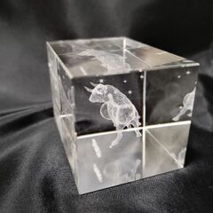 3Dクリスタル 星座 置物の画像
