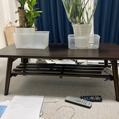 ニトリテーブル　植物の画像