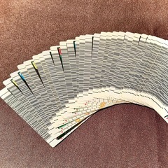 ムシキングカードを譲っていただきたいです！