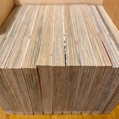 昴 全11巻/ MOON 全9巻セット 曽田正人の画像
