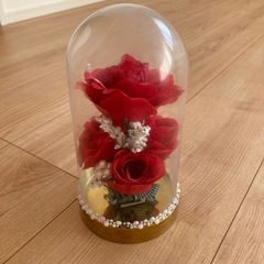 クリスマスドーム