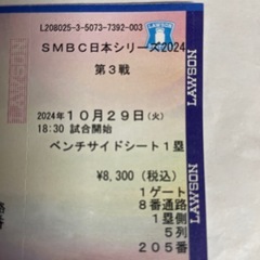 【日本シリーズ】10/29ペイペイドーム